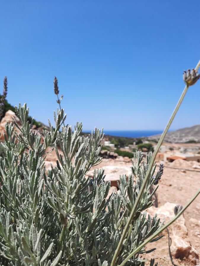 Adiata Villa Adeiata מראה חיצוני תמונה