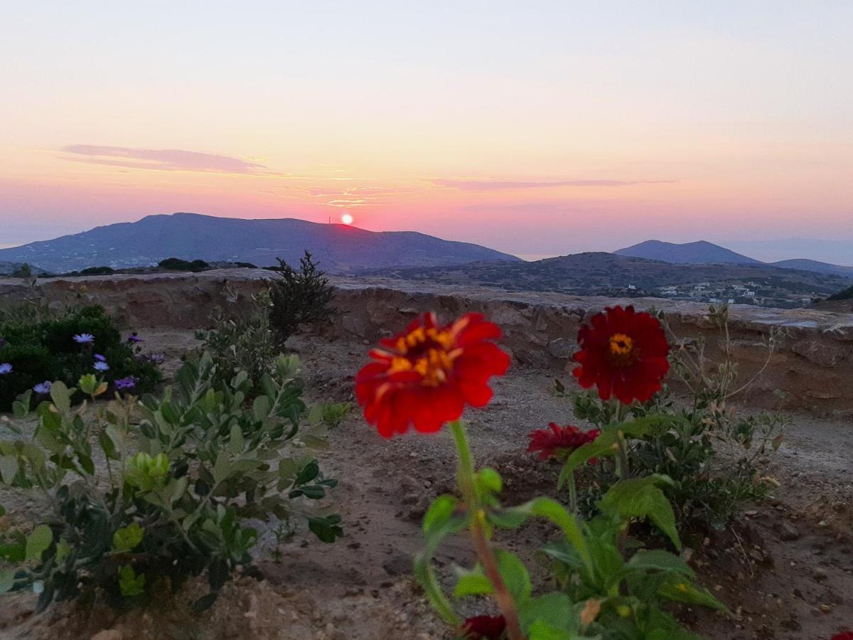 Adiata Villa Adeiata מראה חיצוני תמונה
