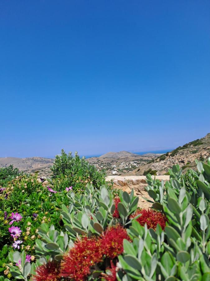 Adiata Villa Adeiata מראה חיצוני תמונה